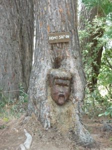 2010-ecluse-de-laiguille