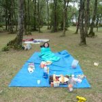 La jeunesse au réveil