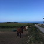 Rencontre sur la route