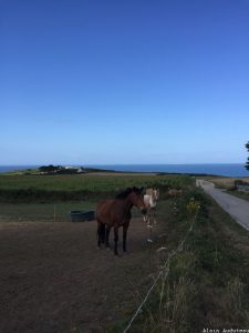 Rencontre sur la route