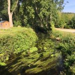 Le Guillec - Invasion d'algues